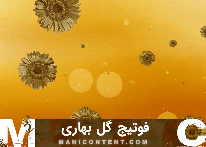 فوتیج گلهای بهاری Spring Flowers