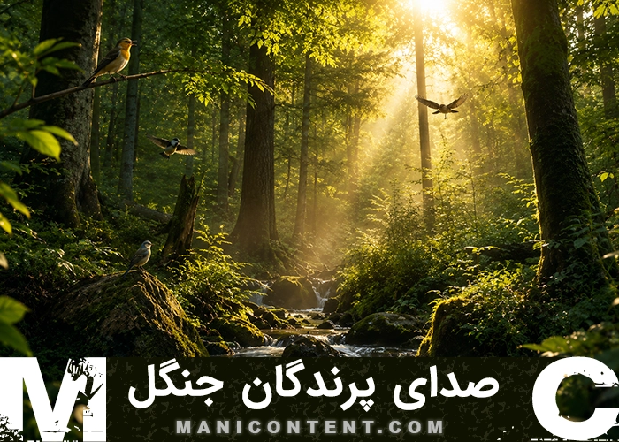 صدای پرندگان جنگل Sound Birds The Forest