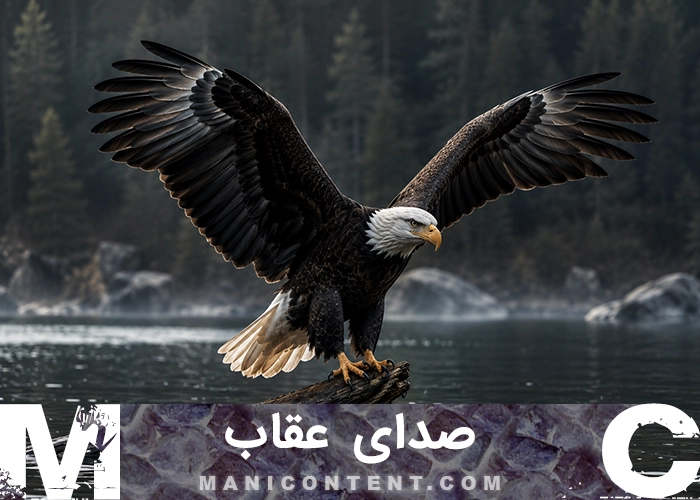 صدای عقاب Eagles voice