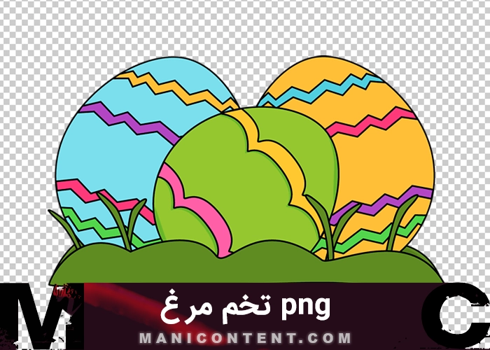 تخم مرغ egg png