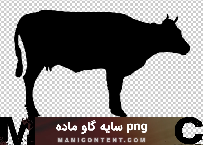 سایه گاو ماده png shadow of a female cow