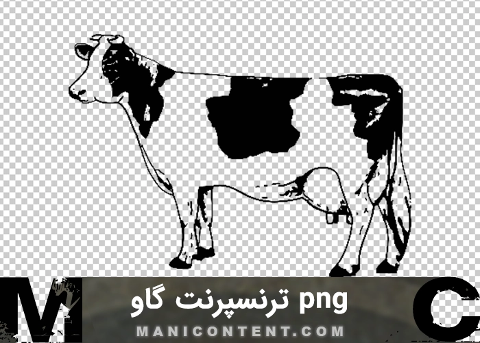 ترنسپرنت گاو Cow transparent png