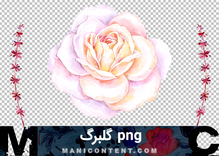 آبرنگ گلبرگ Watercolor petal png
